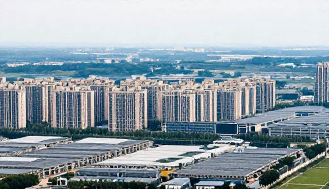 决策支持系统建设中的市场调研检查要点